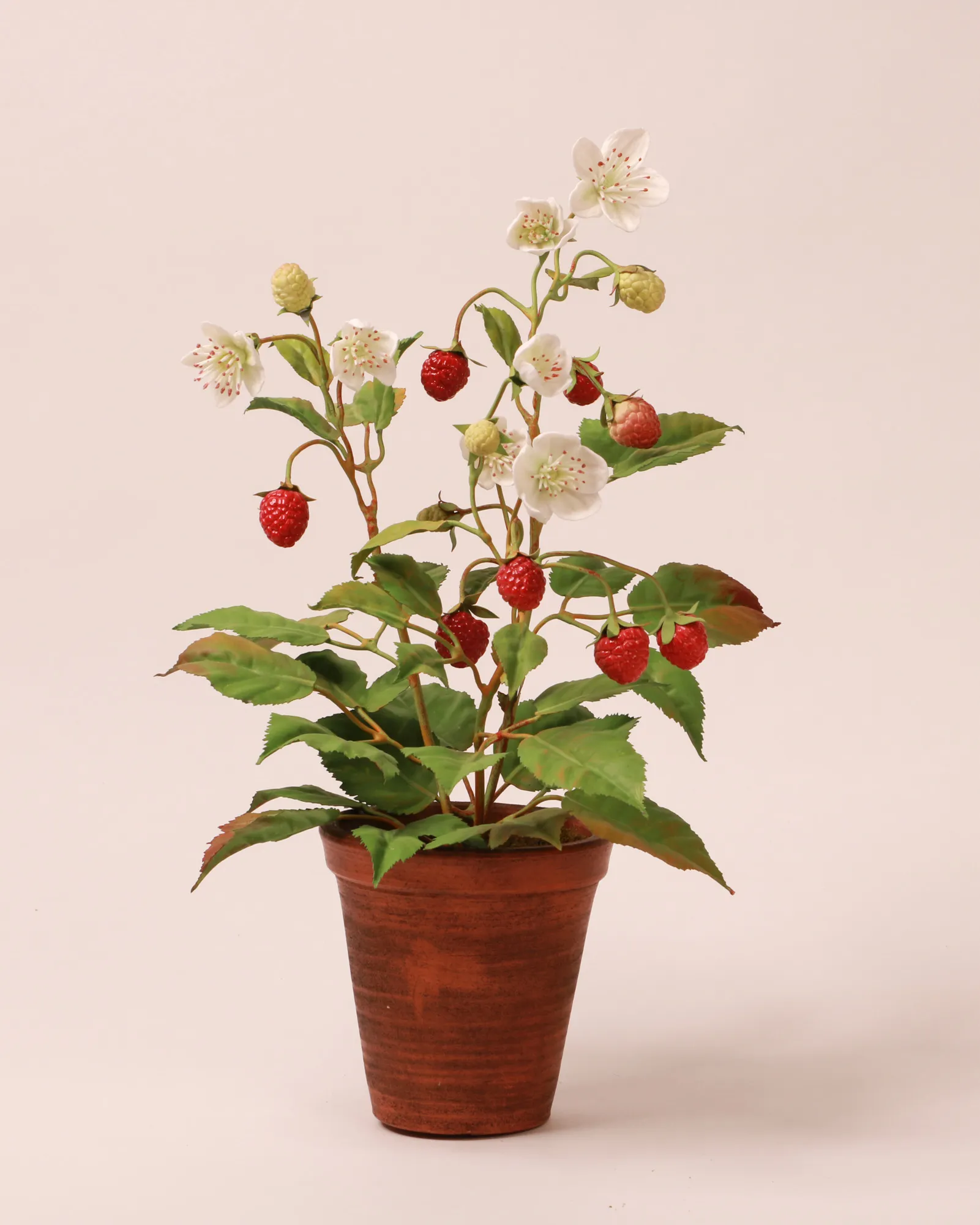 Himbeere — botanische Skulptur aus Porzellan und handbemaltem Kupfer von Faja Schroeder