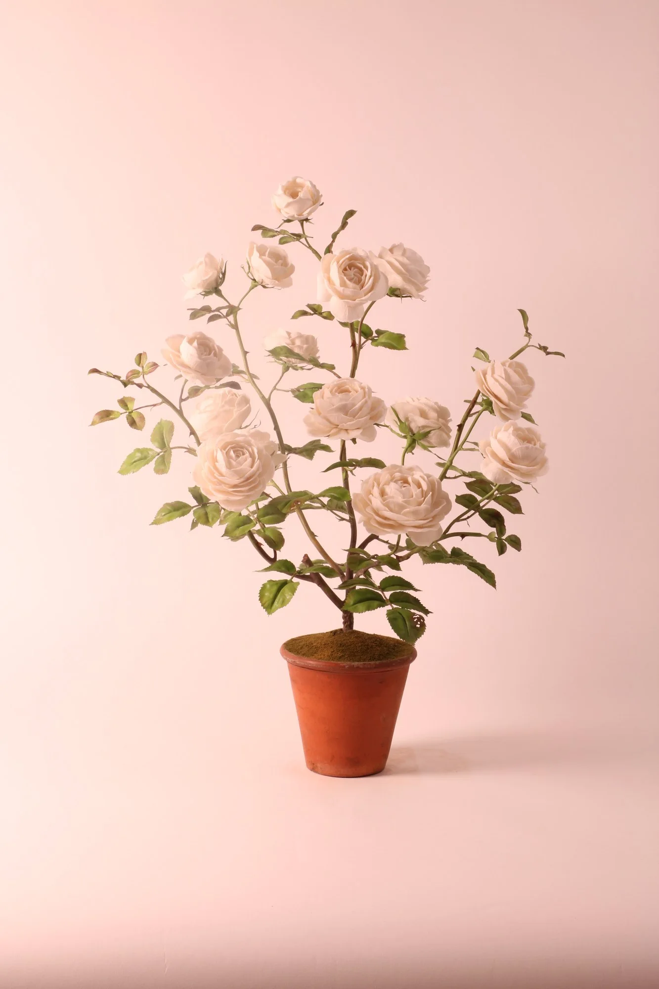 Rose — botanische Skulptur aus Porzellan und handbemaltem Kupfer von Faja Schroeder