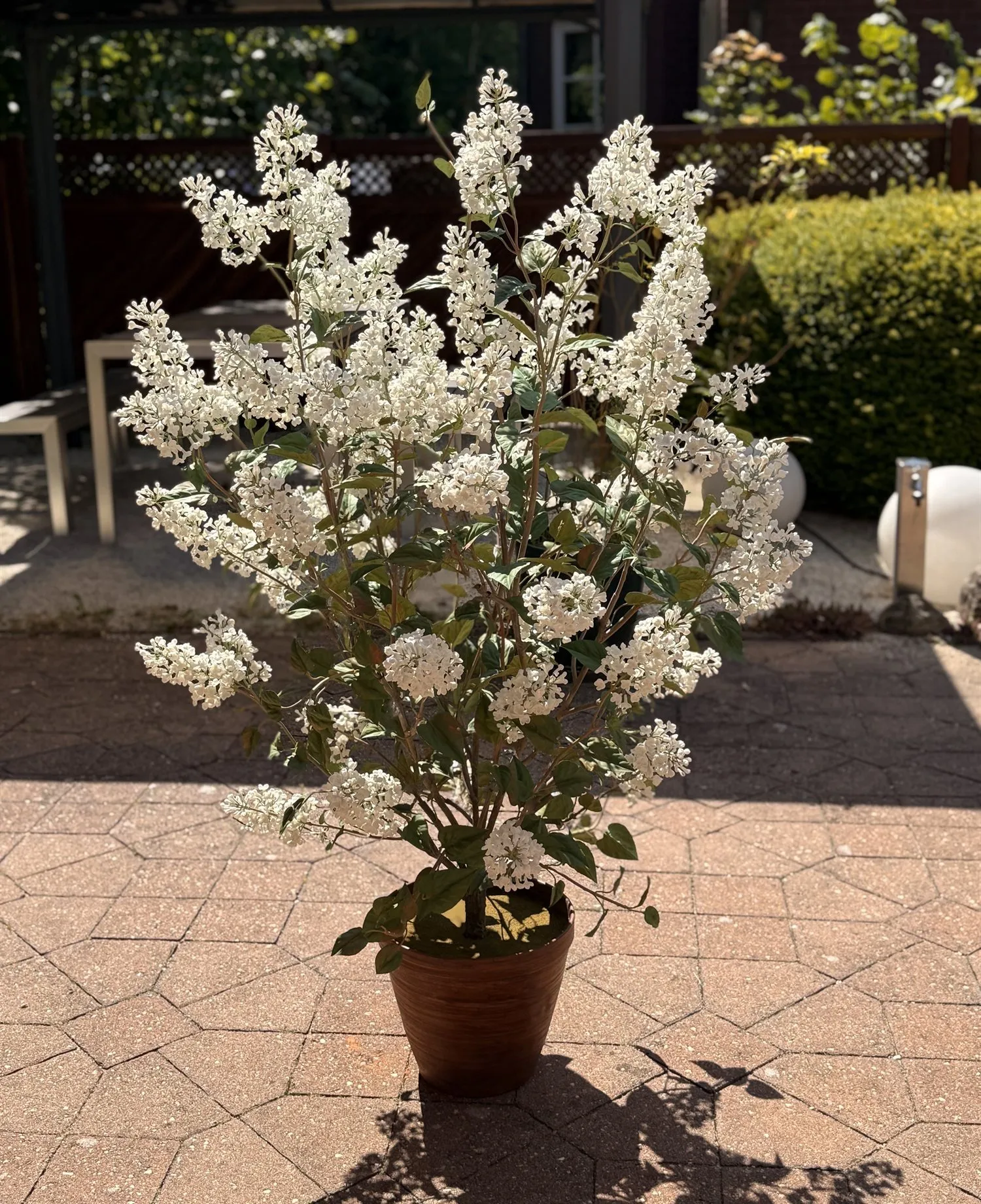 Weißer Flieder — botanische Skulptur aus Porzellan und handbemaltem Kupfer von Faja Schroeder