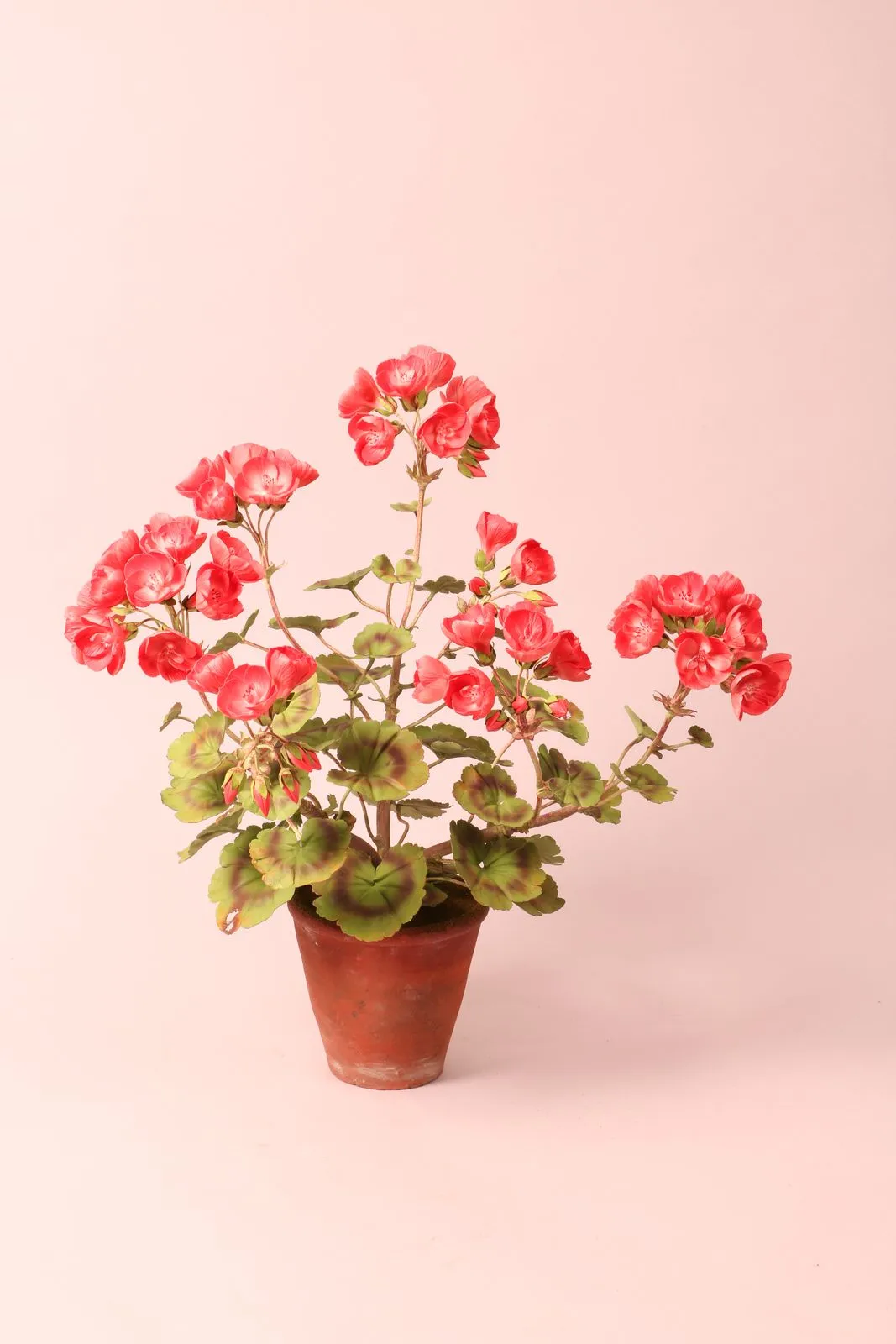 Pelargonie — botanische Skulptur aus Porzellan und handbemaltem Kupfer von Faja Schroeder