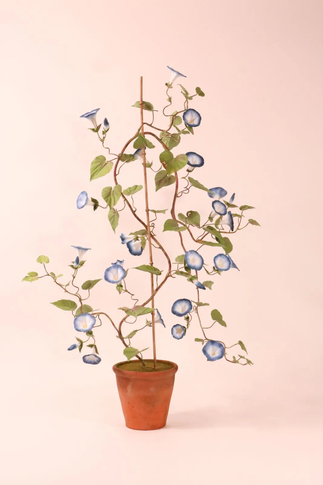 Prunkwinde — botanische Skulptur aus Porzellan und handbemaltem Kupfer von Faja Schroeder