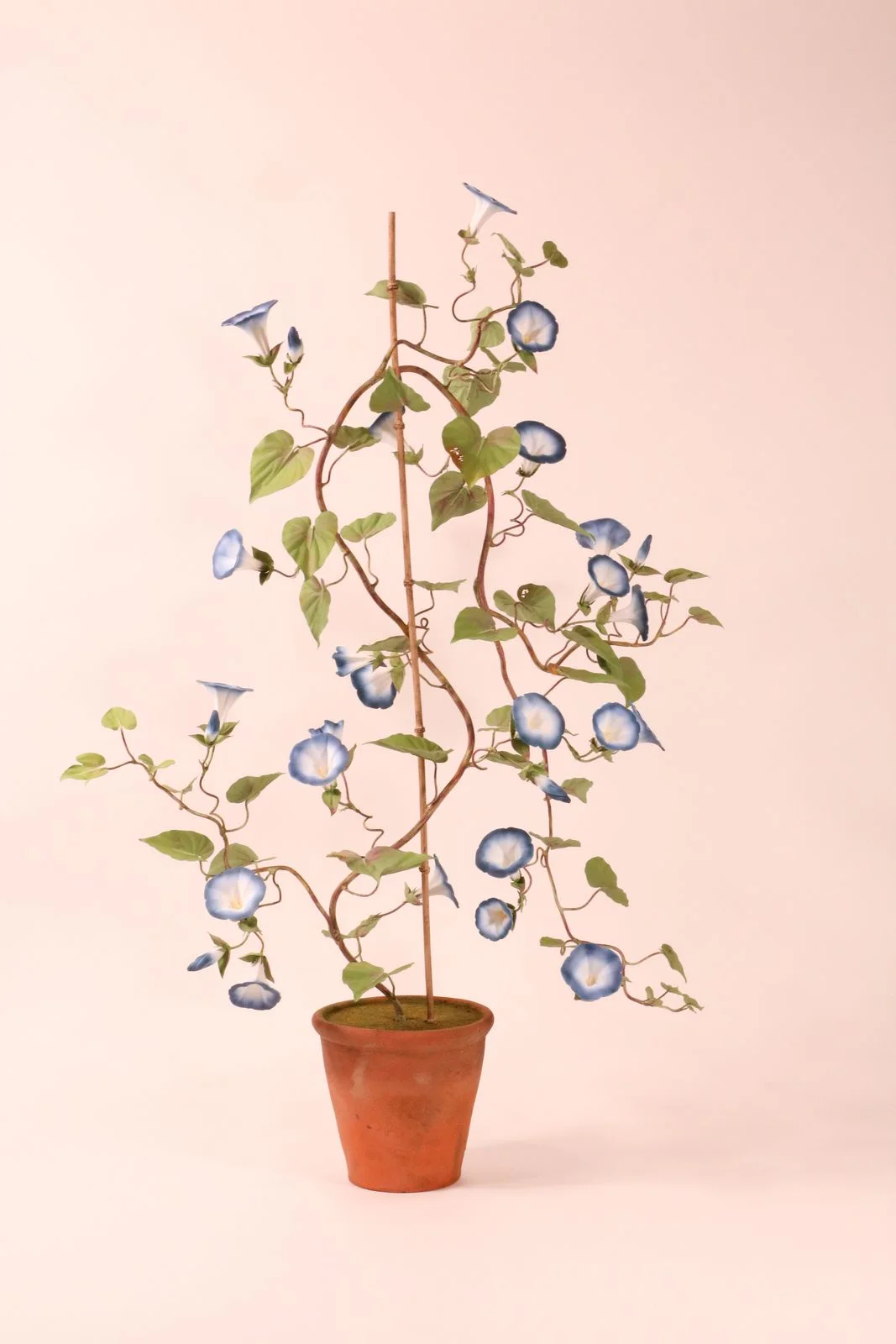 Prunkwinde — botanische Skulptur aus Porzellan und handbemaltem Kupfer von Faja Schroeder