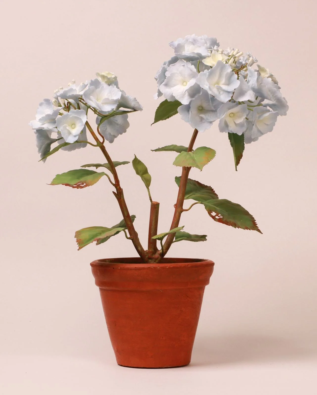 Hortensie — botanische Skulptur aus Porzellan und handbemaltem Kupfer von Faja Schroeder