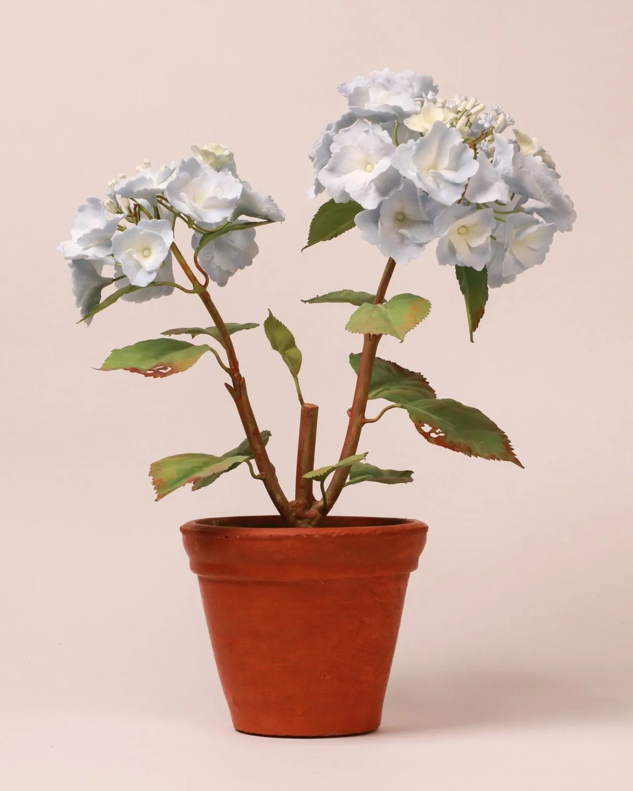 Hortensie — botanische Skulptur aus Porzellan und handbemaltem Kupfer von Faja Schroeder