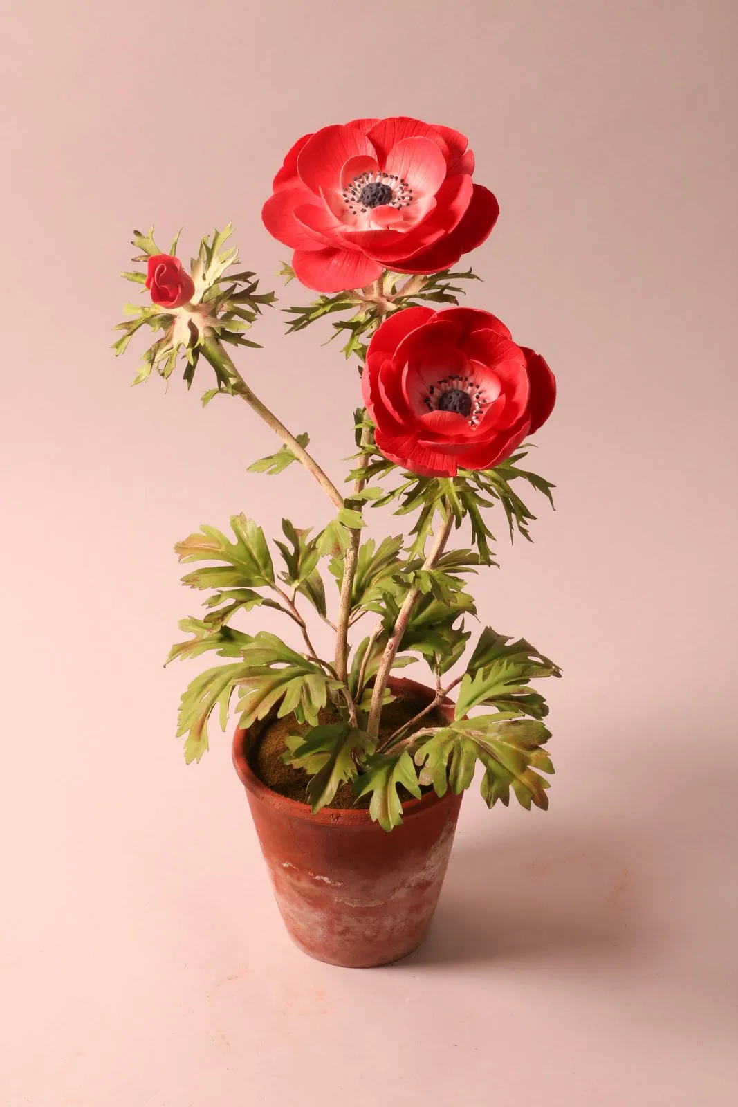 Anemonen — botanische Skulptur aus Porzellan und handbemaltem Kupfer von Faja Schroeder