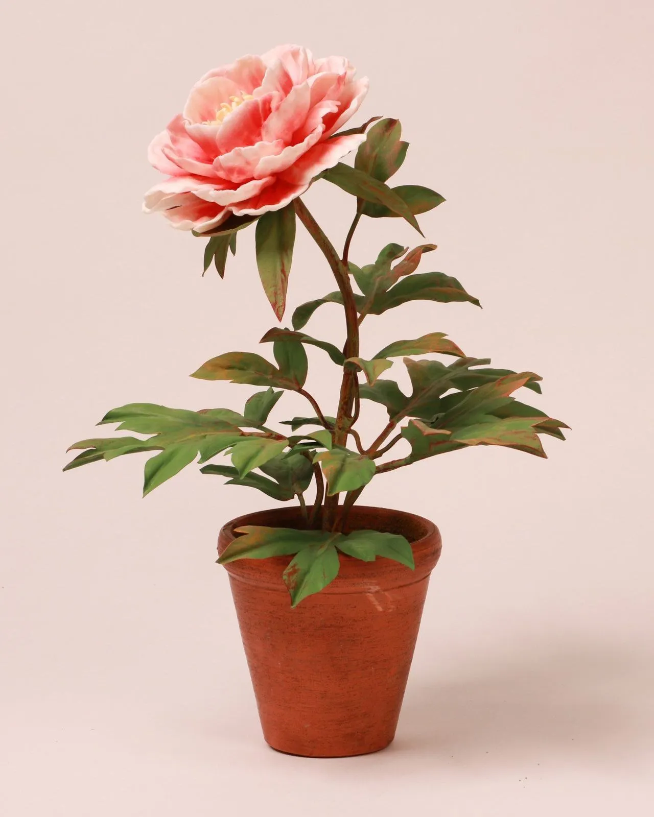Rote Pfingstrose — botanische Skulptur aus Porzellan und handbemaltem Kupfer von Faja Schroeder